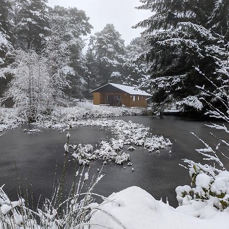 Reuben'S Highland Retreat - Speyside Villa Carrbridge Exterior photo